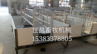 新型歐式設(shè)備分娩床 歐式產(chǎn)床生產(chǎn)廠(chǎng)家