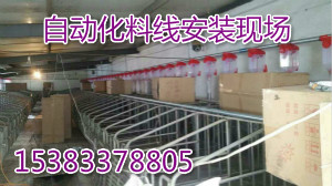豬場自動喂豬系統(tǒng)設計自動料線