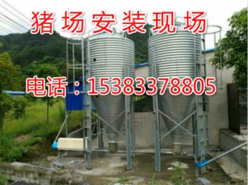 豬場自動料線設(shè)計安裝