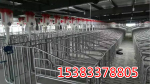 世昌設計安裝豬場自動喂料系統(tǒng)