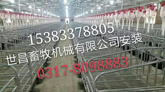 自動化養(yǎng)豬系統(tǒng) 自動化喂豬料線
