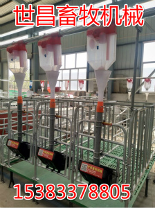 養(yǎng)豬自動化料線母豬料線豬場自動化料線