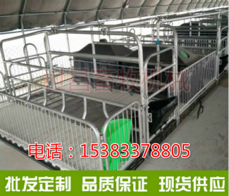 養(yǎng)豬設(shè)備廠家母豬產(chǎn)床