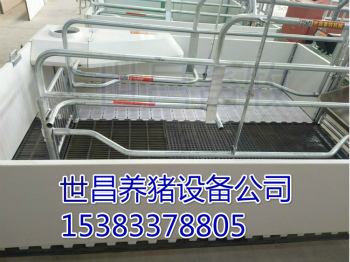 豬場(chǎng)新型歐式單體欄