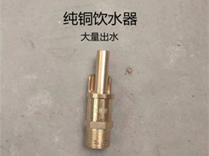新建豬場(chǎng)自動(dòng)水位器不銹鋼飲水碗